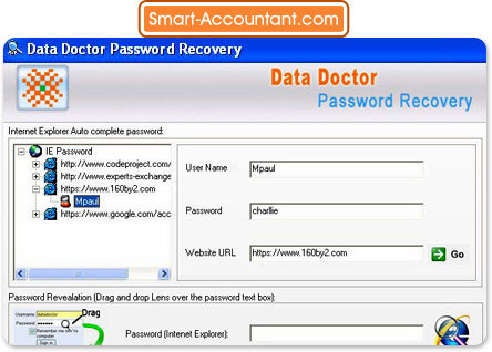 Internet Explorer Password Recovery Software