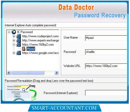 Screenshot of Reset Internet Explorer Password