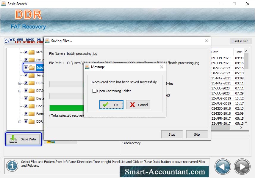 FAT Data Recovery Software