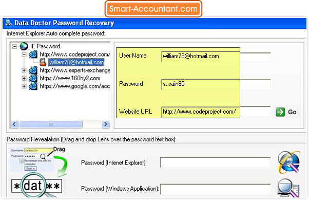 Internet Explorer Password Recovery Software